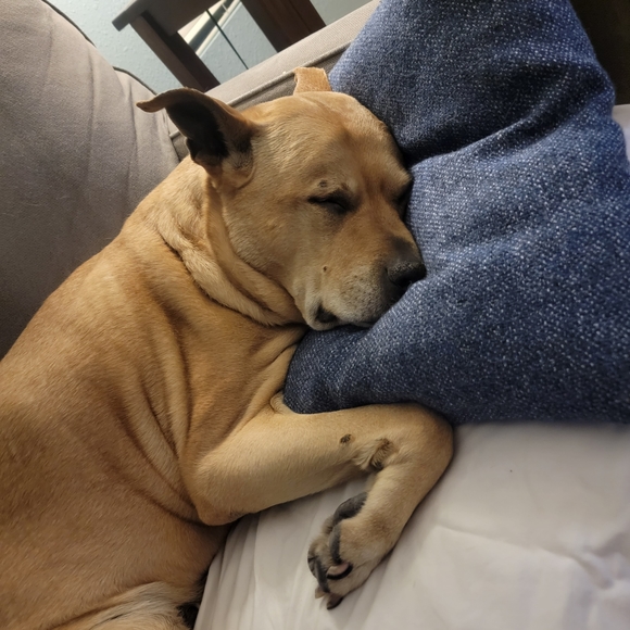 Meet your Posher, Lauren - Picture 3 of 6